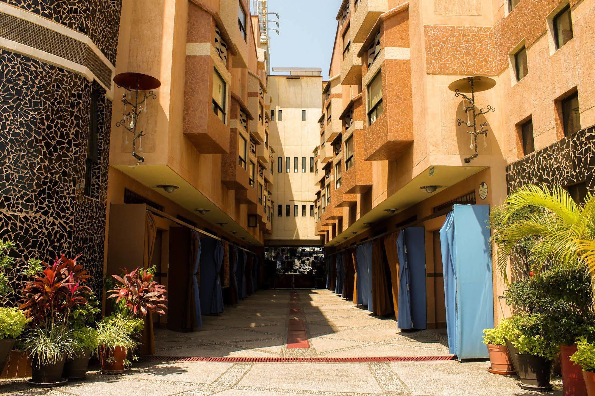 Villas Y Suites Paraiso Del Sur 库埃纳瓦卡 外观 照片